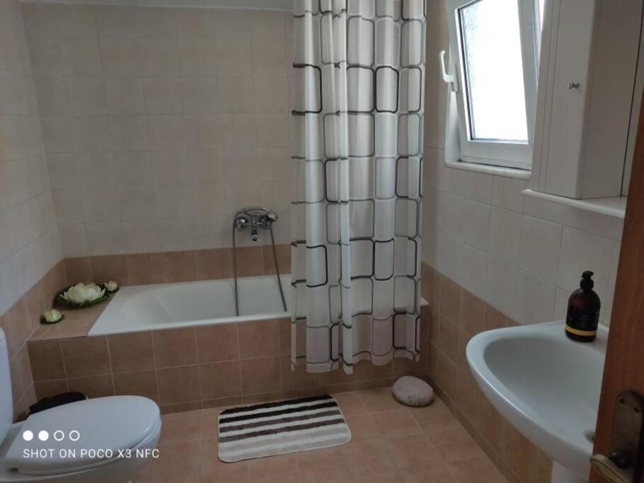 Wild Orchid Afantou Villa Dış mekan fotoğraf